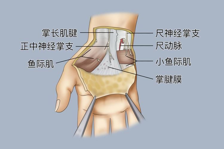 手的保养和美白方法