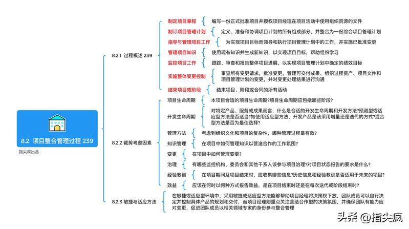 项目整合管理知识领域