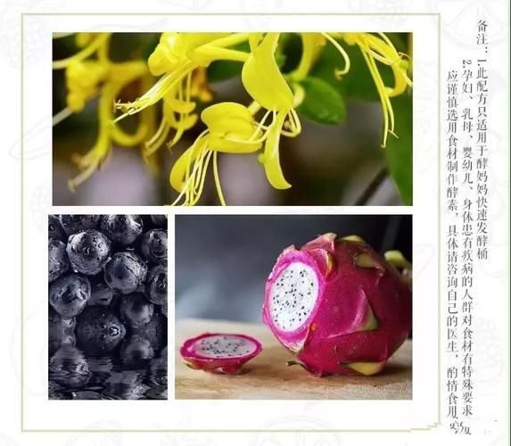 莲子的种植方法