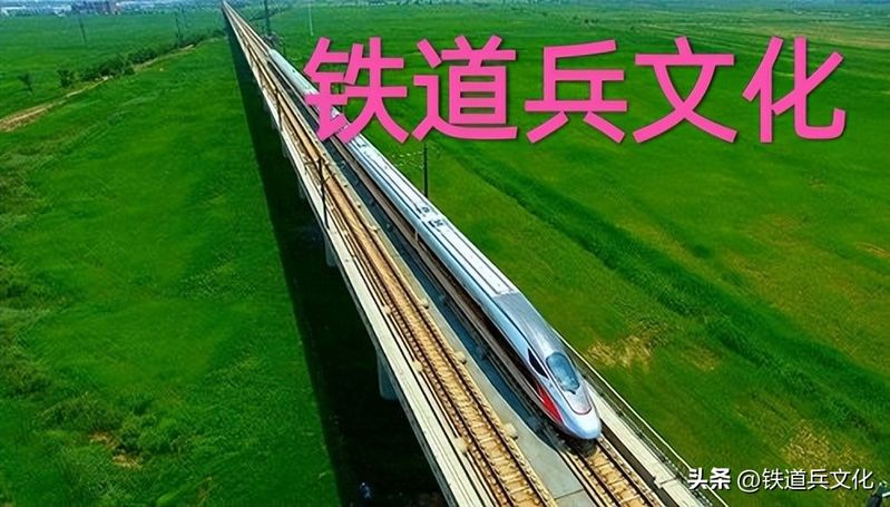 铁线莲种植方法