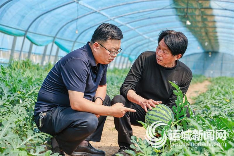 反季节大蒜种植技术