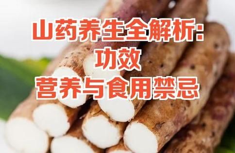 山药的种植技术