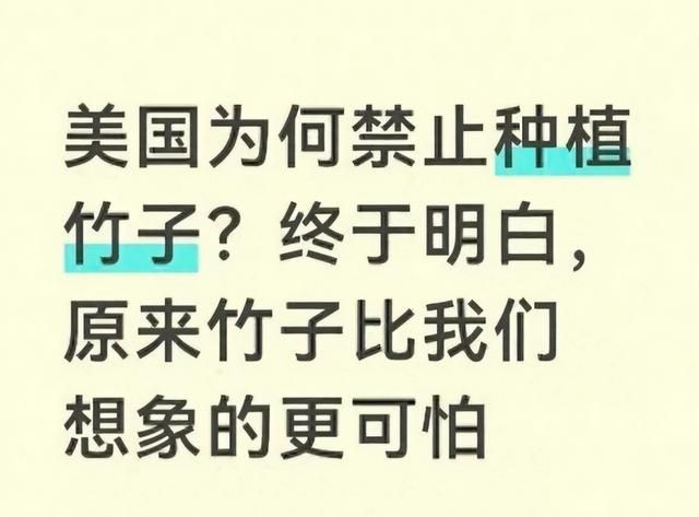 竹子的种植方法
