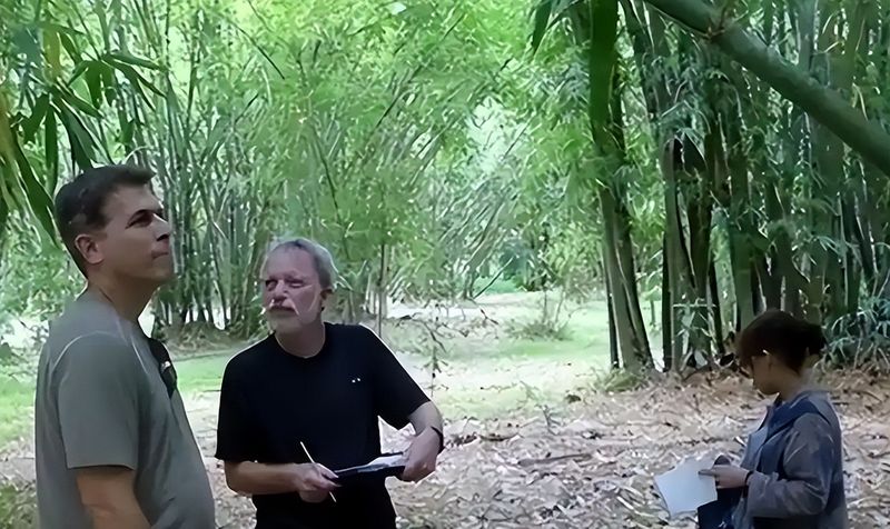 竹子的种植方法