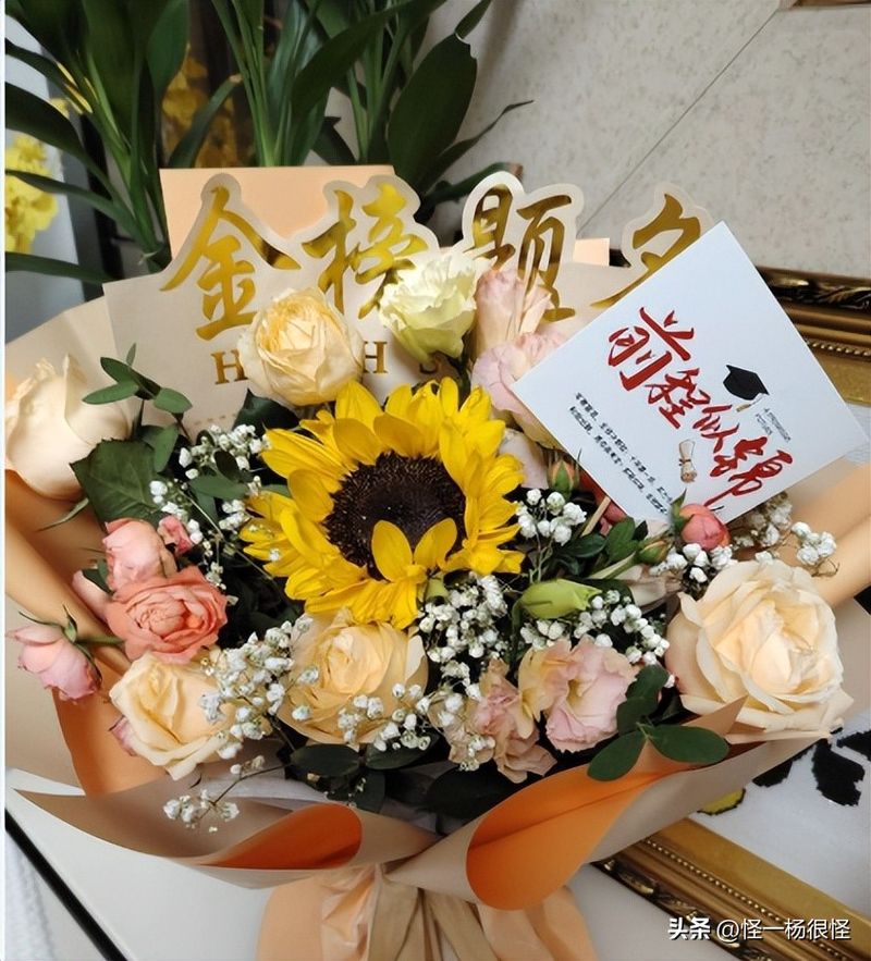 高考报考费用是多少钱