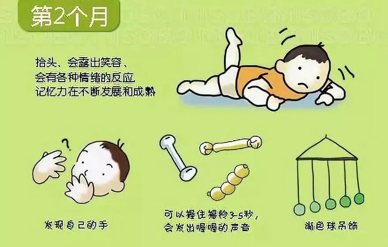 婴儿阴部构造