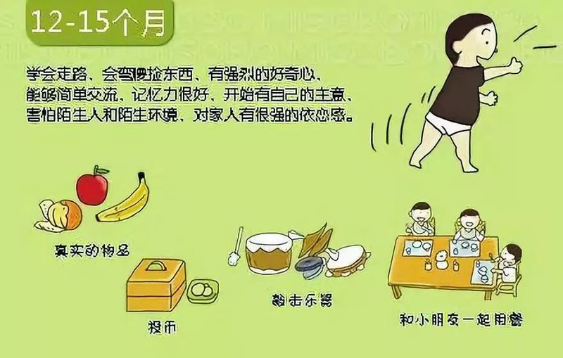 婴儿阴部构造