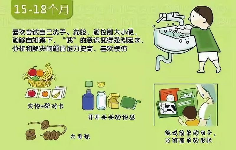 婴儿阴部构造
