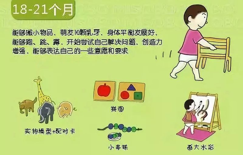 婴儿阴部构造