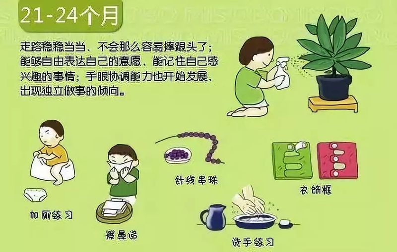 婴儿阴部构造