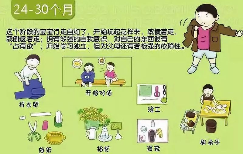 婴儿阴部构造