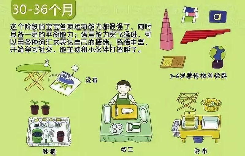 婴儿阴部构造