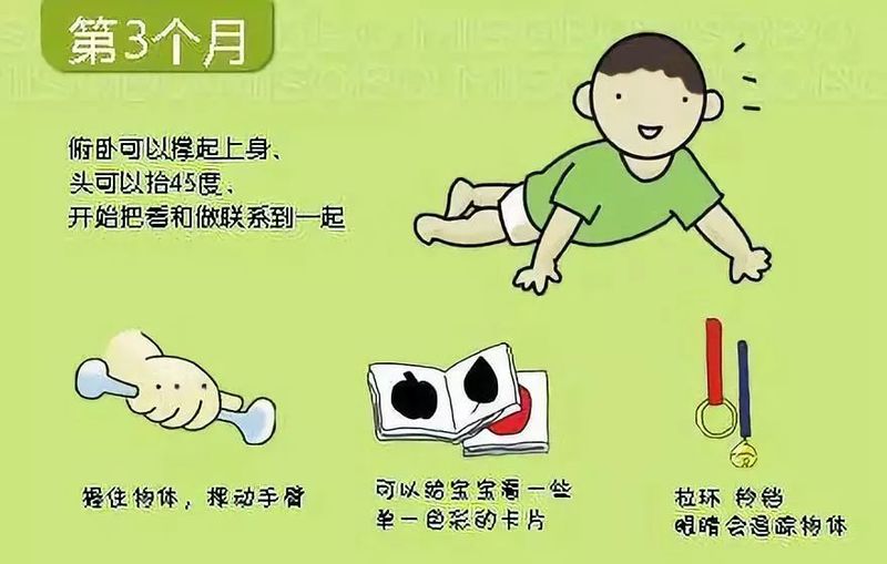 婴儿阴部构造