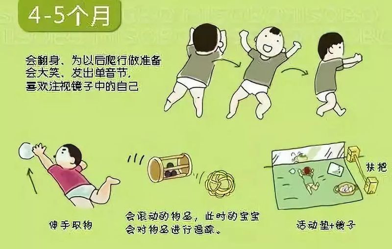 婴儿阴部构造