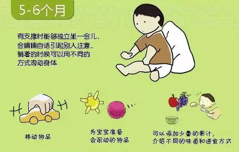 婴儿阴部构造