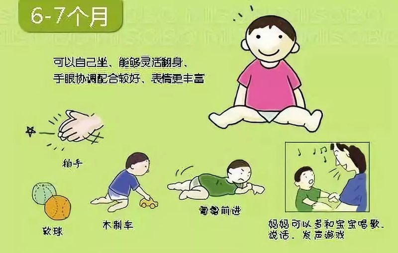 婴儿阴部构造