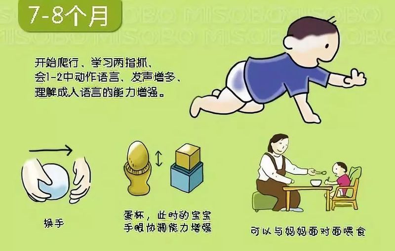 婴儿阴部构造