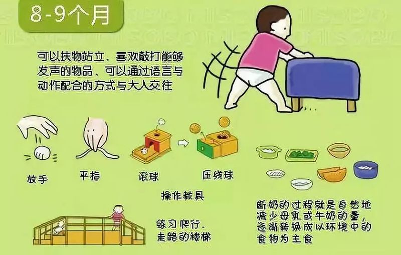 婴儿阴部构造