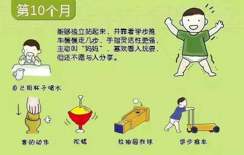 婴儿阴部构造