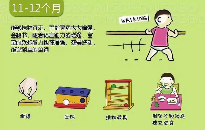 婴儿阴部构造