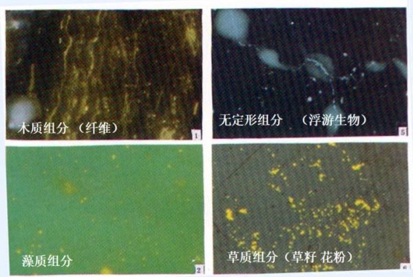 The oil-cause mystery