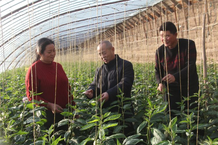 党外知识分子谈担当