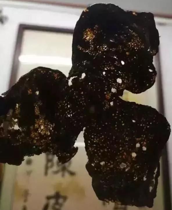 新会虫草种植技术