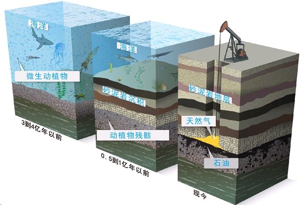 石油成因之谜