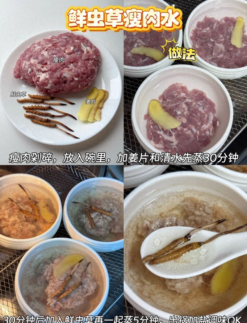 新会虫草种植技术