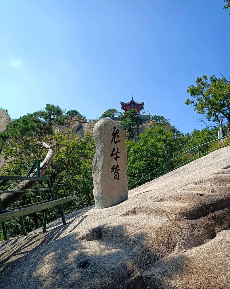 丹东网站排名