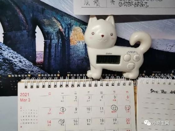 如何让自己更清楚规律