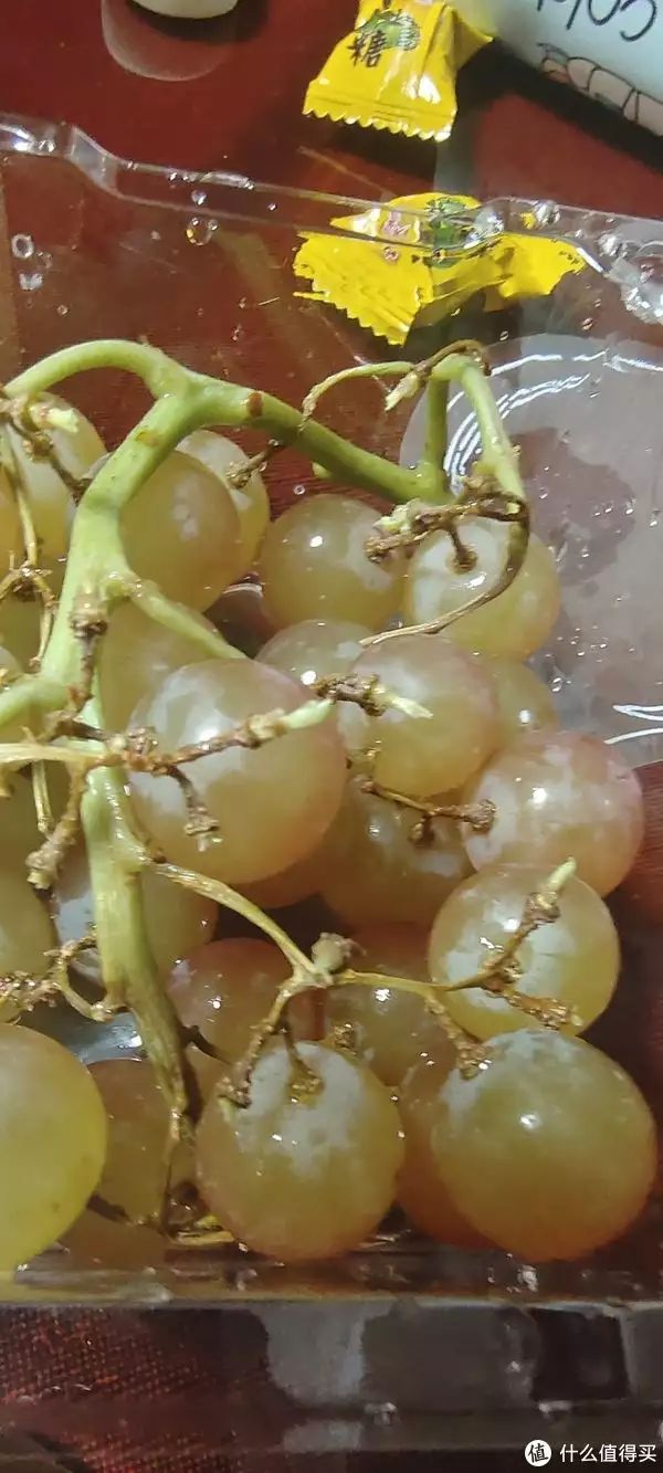 夏黑葡萄种植技术