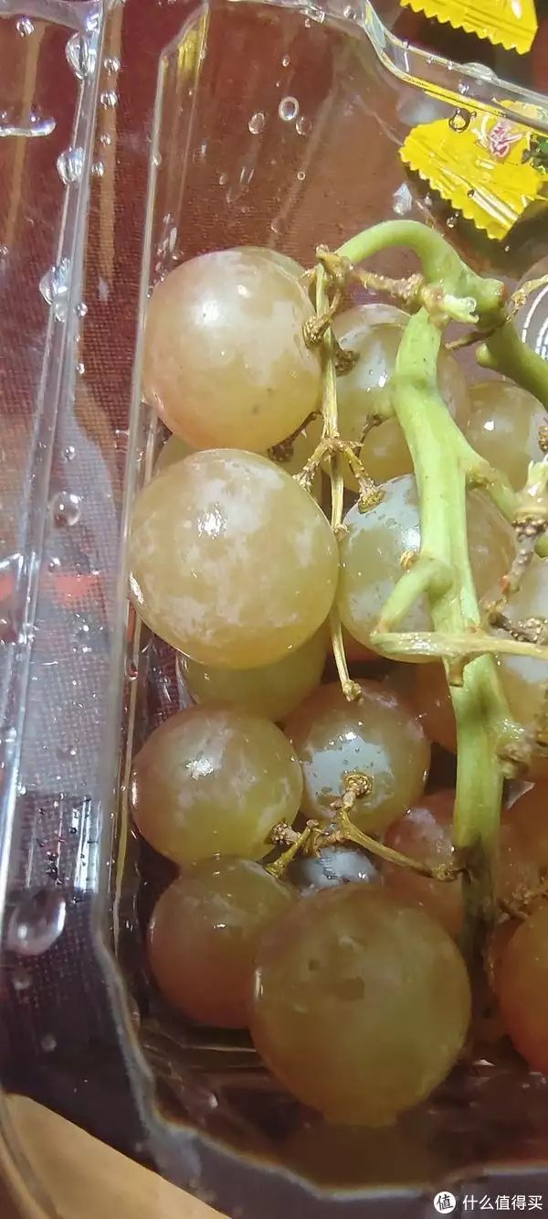 夏黑葡萄种植技术