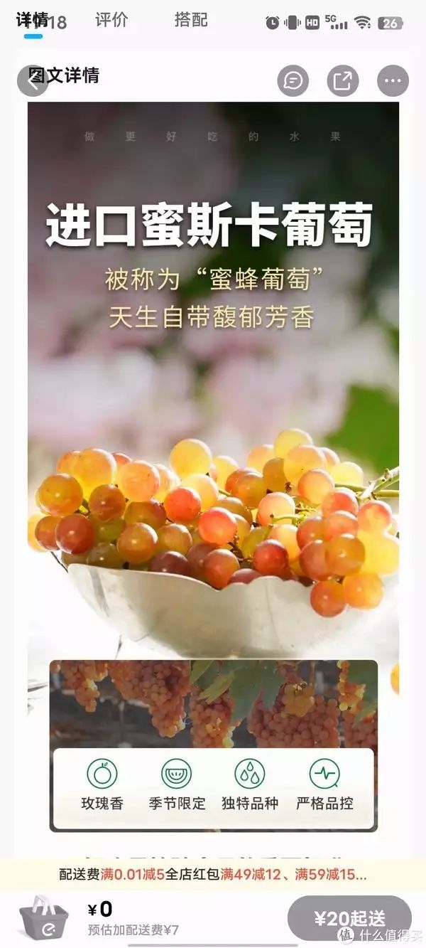 夏黑葡萄种植技术