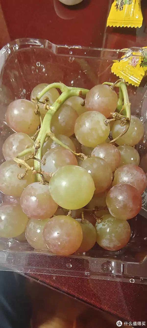 夏黑葡萄种植技术