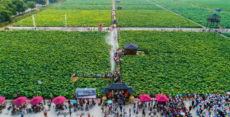 章丘大葱种植技术视频