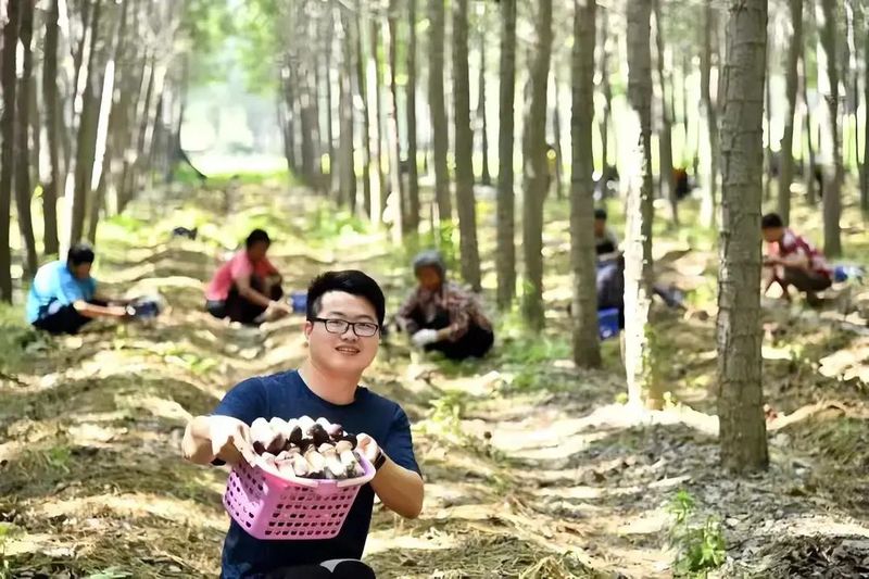 章丘大葱种植技术视频