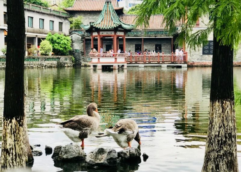 东莞企业站seo