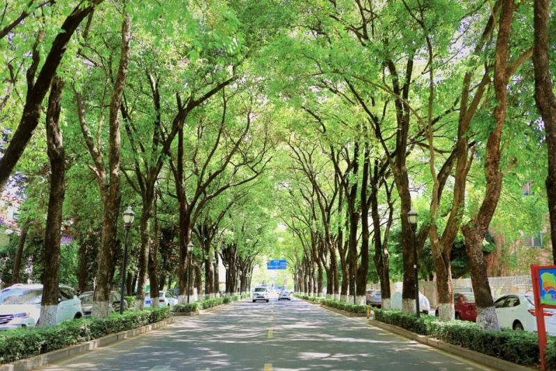 东莞企业站seo