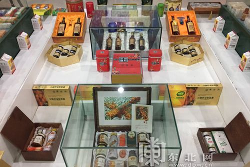 黑龙江种植沙棘果树