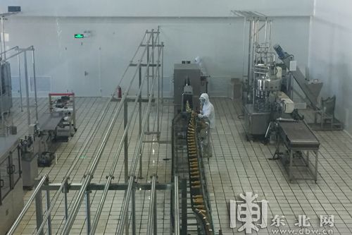 黑龙江种植沙棘果树