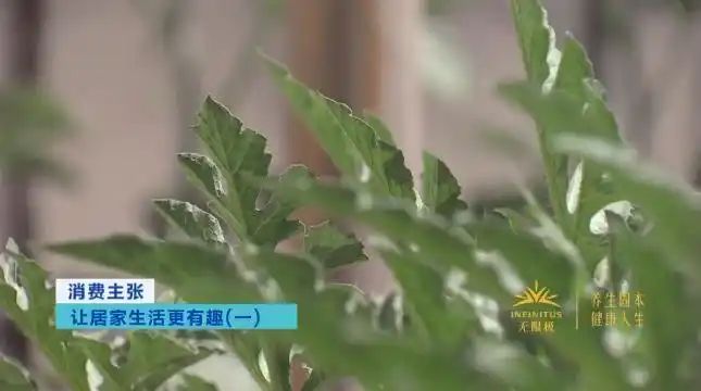 Cultivation of quichuan roof garden