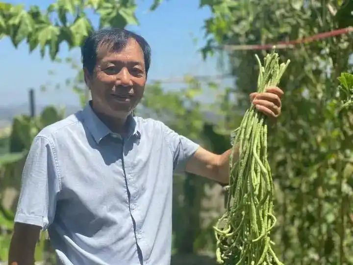 Cultivation of quichuan roof garden