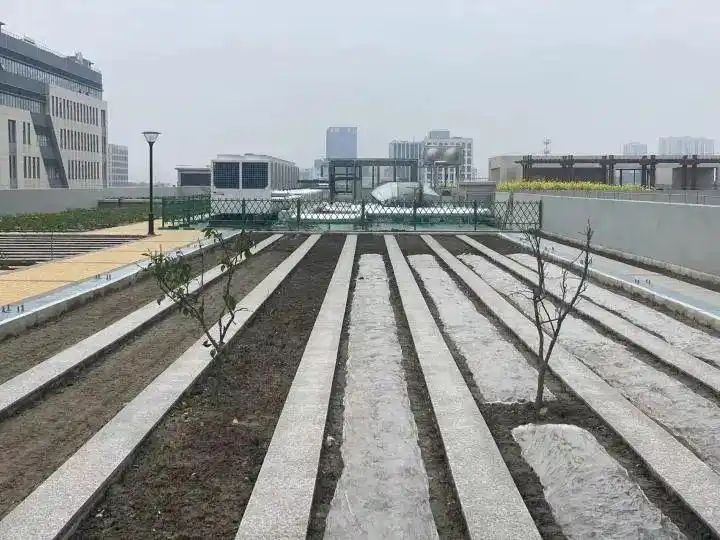 Cultivation of quichuan roof garden