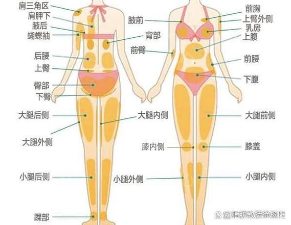 吸脂减肥价格 吸脂手术多少钱