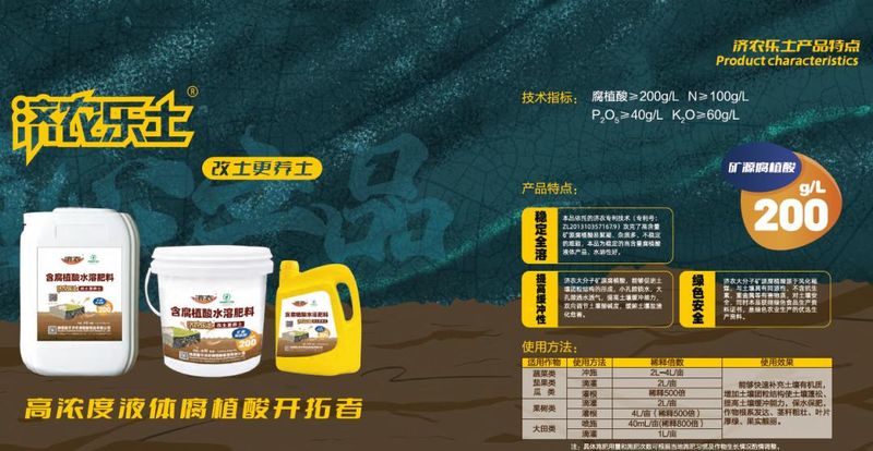 大田蒜苗高产种植技术