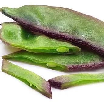 豇豆种植技术