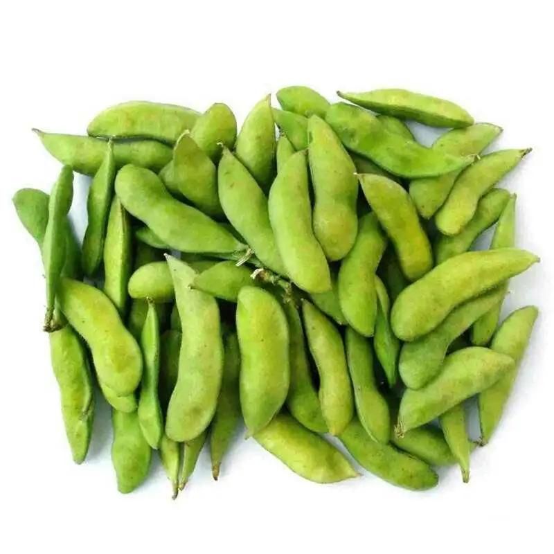 豇豆种植技术