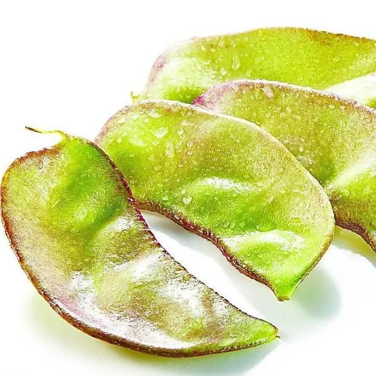 豇豆种植技术