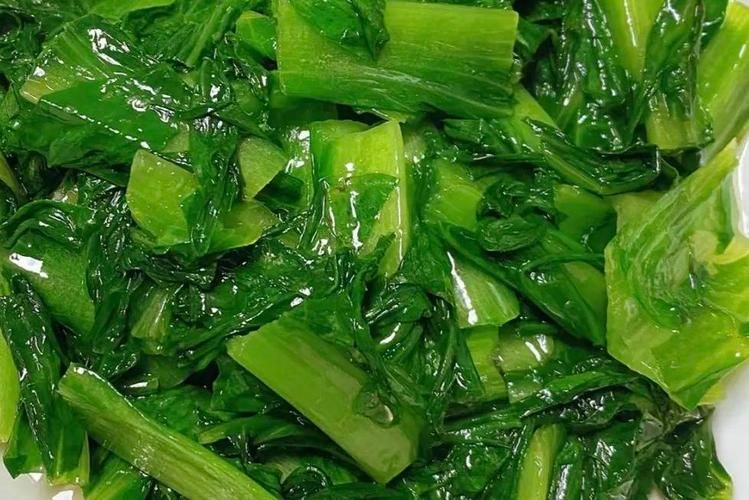 油麦菜种植方法